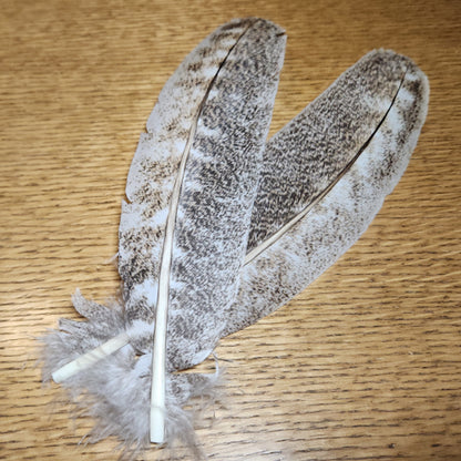 Veniard Oak Mottled Turkey Wing Quill Grade 2 - Troutlore Fly Tying Feathers Australia