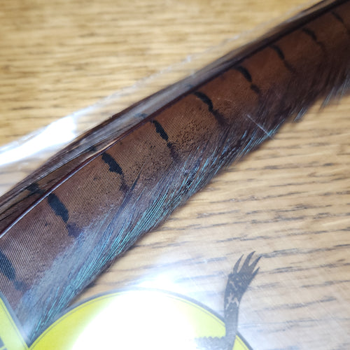 Veniard Pheasant Tail Feathers Dark Brown - Troutlore Fly Tying Feathers Australia