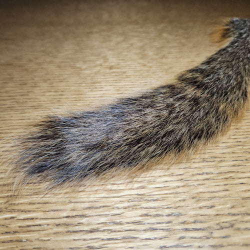 Veniard Fox Squirrel Tail - Troutlore Fly Tying Furs Australia