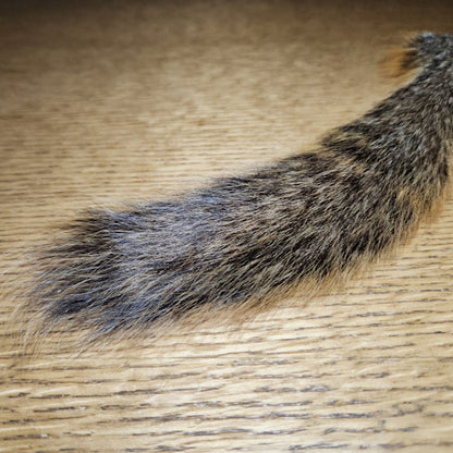 Veniard Fox Squirrel Tail - Troutlore Fly Tying Furs Australia