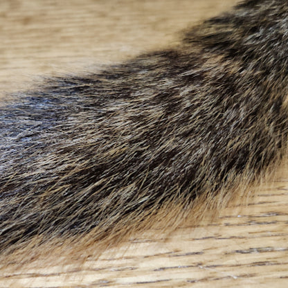 Veniard Fox Squirrel Tail - Troutlore Fly Tying Furs Australia