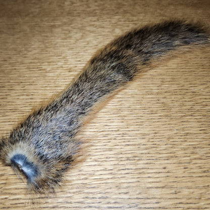 Veniard Fox Squirrel Tail - Troutlore Fly Tying Furs Australia