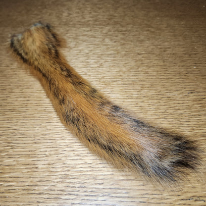 Veniard Fox Squirrel Tail - Troutlore Fly Tying Furs Australia