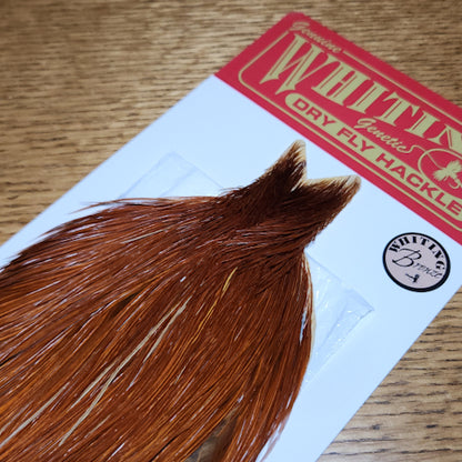 Whiting Cape Bronze Grade – Brown  - Troutlore Fly Tying Store Australila