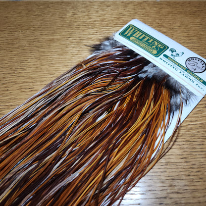 Whiting Hebert Miner Saddle Bronze Grade – Medium Brown Available at Troutlore Fly Tying Store Australia