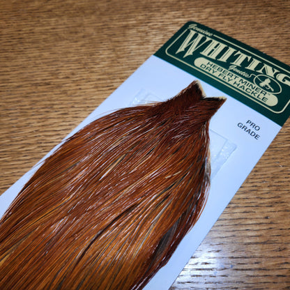 Whiting Hebert Miner Pro Grade Cape – Medium Brown - Troutlore Fly Tying Feathers Australia