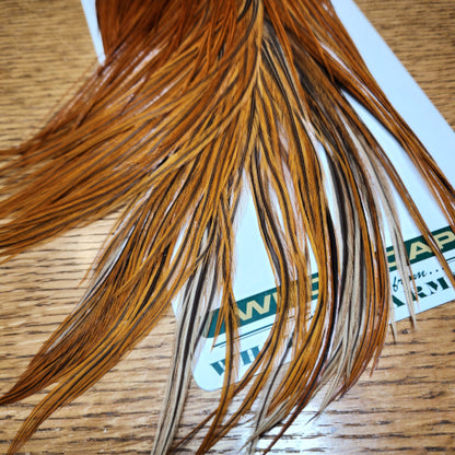 Whiting Hebert Miner Pro Grade Cape – Medium Brown - Troutlore Fly Tying Feathers Australia