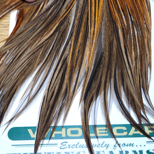 Whiting Hebert Miner Pro Grade Cape – Medium Brown - Troutlore Fly Tying Specialist Australia