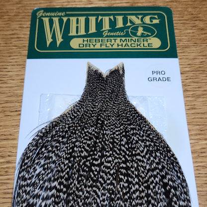 Whiting Hebert Miner Pro Grade Cape – Grizzly Variant - Troutlore Fly Tying Feathers Australia