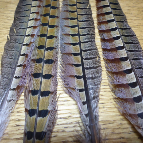 PHEASANT TAIL FEATHERS PT NYMPH FLYTYING MATERIALS AUSTRALIA TROUTLORE FLY TYING SHOP