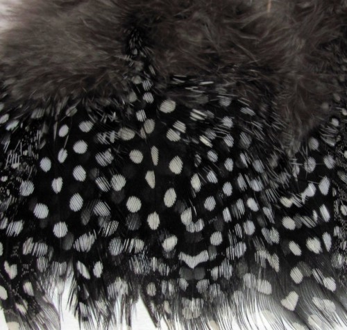 Other Feathers
