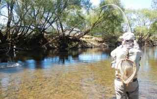 NEW TROUT FISHING REGULATIONS VICTORIA