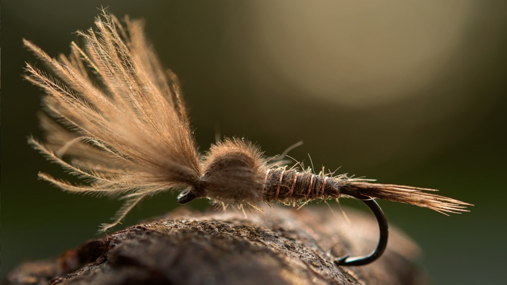 New Ahrex Hooks Freshwater Series - Coming Soon - Troutlore