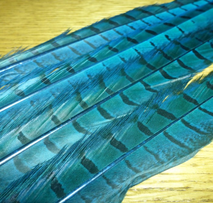PHEASANT TAIL FEATHERS PT FLYTYING MATERIALS AUSTRALIA TROUTLORE