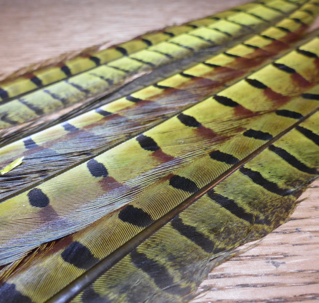Pheasant Tails Dyed Yellow - Troutlore