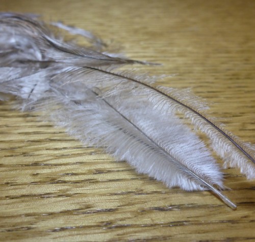 NATURES SPIRIT EMU FEATHERS AUSTRALIA FLY TYING MATERIALS TROUTLORE