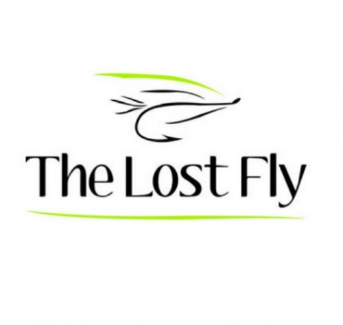 The Lost Fly