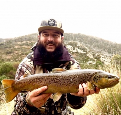 Big brown caught by Mick @mickoshea_