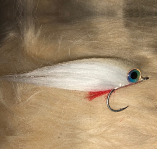 Saltwater Streamer by Con from Western Australia