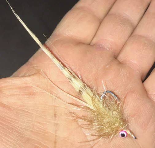 Saltwater Streamer by Con from Western Australia