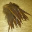TIEWELL STRUNG HACKLE FLYTYING MATERIALS AUSTRALIA TROUTLORE FLY TYING STORE