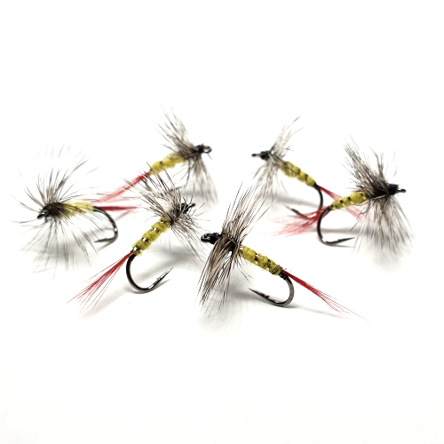 GREY HACKLE YELLOW FLY PATTERN AVAILABLE FROM TROUTLORE FLYTYING STORE AUSTRALIA