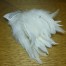 HARELINE FEATHER MINI GAMECHANGER SCHLAPPEN GAME CHANGER FLY MATERIALS AVAILABLE AT TROUTLORE FLY TYING SHOP IN AUSTRALIA
