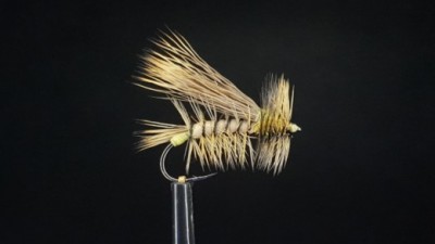 STIMULATOR FLY WITH TWO HACKLE SIZES MEASURED ON A HACKLE GAUGE TO BALANCE HOOK GAPE