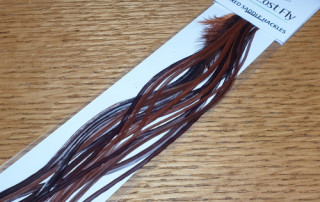 THE LOST FLY MIXED SADDLE HACKLE PACK DRY FLY FEATHERS AVAIABLE IN AUSTRALIA FROM TROUTLORE FLY TYING SHOP