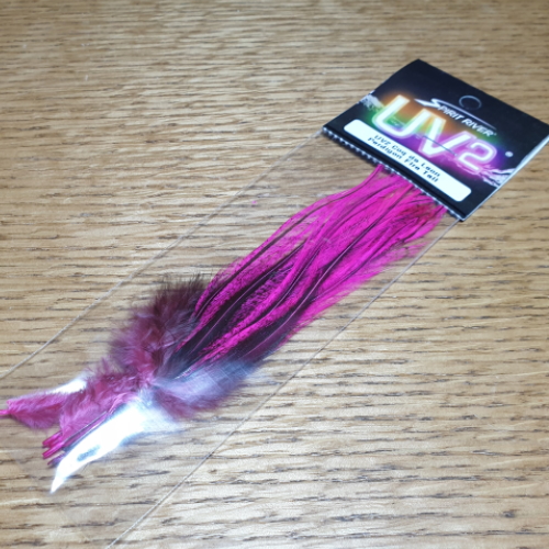 UV2 COD DE LEON PERDIGON FIRE TAIL FEATHERS AVAILABLE IN AUSTRALIA FROM TROUTLORE FLY TYING SHOP