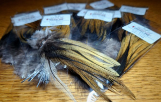 COQ DE LEON FEATHERS FROM THE GALLO DE LEON BIRD AVAILABLE AT TROUTLORE FLY TYING STORE