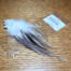 HARELINE GALLO DE LEON FEATHERS CDL FROM TROUTLORE FLY TYING STORE AUSTRALIA