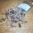 UPAVON NATURAL GREY CDC 1 GRAM BAG AVAILABLE IN AUSTRALIA FROM TROUTLORE FLY TYING STORE