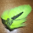 VENIARD DOETAIL FLY TYING MATERIALS AVAILABLE IN AUSTRALIA AT TROUTLORE