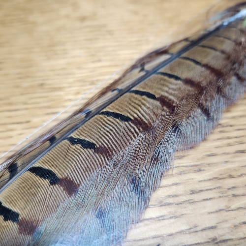 VENIARD PHEASANT TAIL FEATHERS AVAILABLE IN AUSTRALIA FROM TROUTLORE FLY TYING STORE