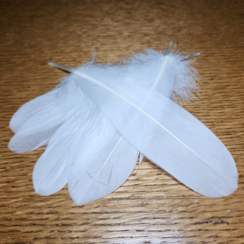 GOOSE QUILLS FLY TYING FEATHERS AVAILABLE IN AUSTRALIA FROM TROUTLORE FLYTYING STORE